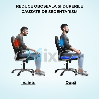 Perna Ortopedica Cu Gel pentru Dureri Lombare si Solduri